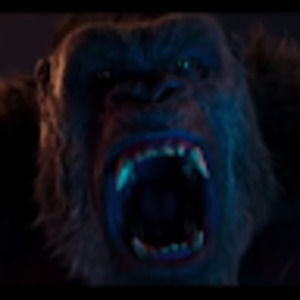 Meet your Posher, King